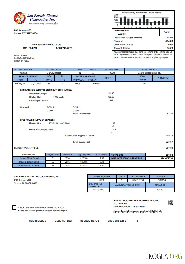 USA Texas San Patricio Electric Corporative utility bill template in Word and PDF (.doc and .pdf) format